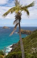 Lord Howe Island_20061210_012